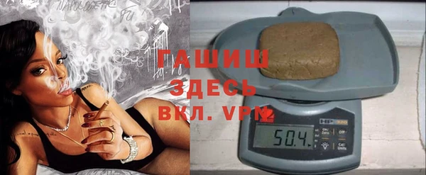 шишки Белокуриха