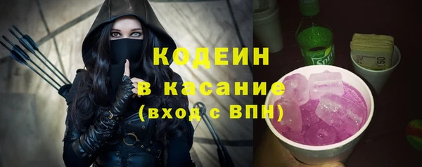 шишки Белокуриха