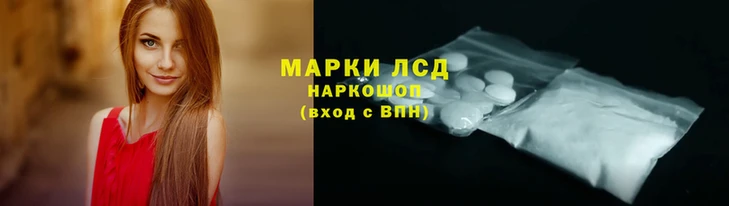 шишки Белокуриха