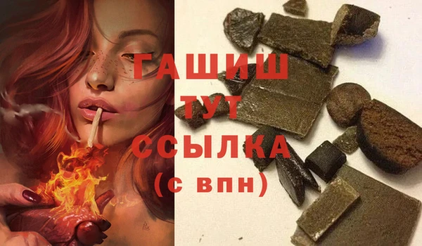 шишки Белокуриха