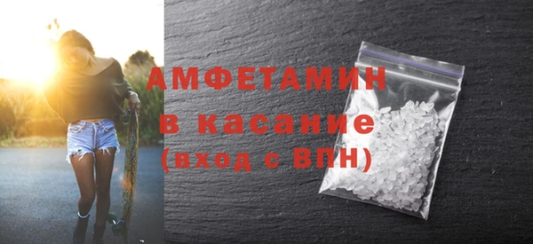 шишки Белокуриха