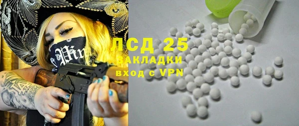 шишки Белокуриха
