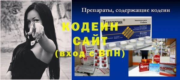 шишки Белокуриха