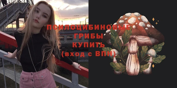 шишки Белокуриха