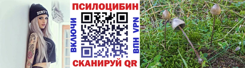 Галлюциногенные грибы GOLDEN TEACHER  купить наркоту  Коммунар 